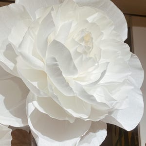 Giant peony flower Style No.2. Crepe paper flower with large petals. Comes in pink and white huge flowers for decoration. Weddings and party