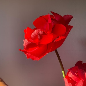 Fiore di peonia rossa gigante, stile n. 3. Fiore di carta crespa con grandi petali. Altezza 90-180 cm.