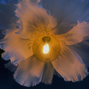Giant flower lamp for ceilings. Home interior design. Comes with contemporary and modern light bulb and comes in assorted colors and combies