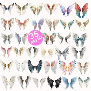 Angel Wings png, Feathered wings, Digital art