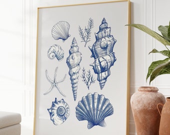 Shell Collage Print | Coastal Granddaughter | Coquette Room Decor | Balletcore | Coastal Cowgirl, Preppy Stuff, Ocean Inspired Style, Trendy