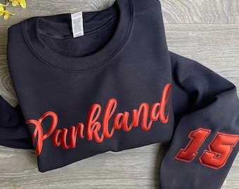 Sudadera personalizada del equipo, con relieve abullonado, sudadera con nombre del equipo personalizado, mascota, espíritu escolar, equipo universitario, número en la manga, camiseta del equipo