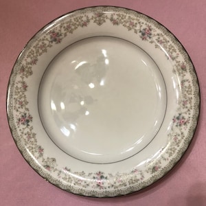 Noritake Discontinued Edgewood China Dinner Plates