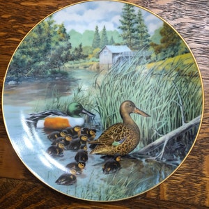 May include: A white ceramic plate with a gold rim features a painting of a mother duck and her ducklings swimming in a pond. The background shows a small wooden cabin with a water wheel and lush green trees. The plate is signed "Jenner" in the bottom right corner.