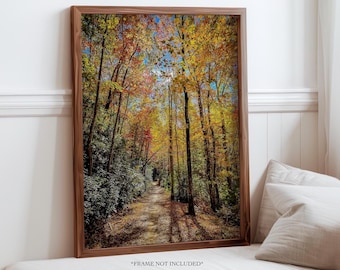 Autumn Forest Photo | A Walk Under the Golden Canopy | Wall Art Decor | Nature Photography | Travel Photography | Autumn Home Decor