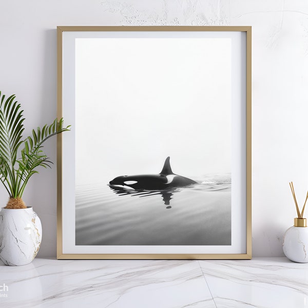 Photo of Orca Whale Black and White, Orca Whale Photo, Marine Animals, Killer Whale, Ocean Photography, Digital Print, Instant Download