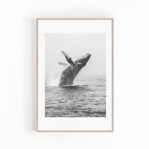 Foto von Buckelwal schwarz und weiß, Ozean Wildtiere, Meerestiere, Ozean Fotografie, Digitaldruck, Sofort Download
