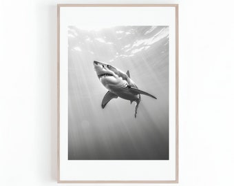 Fotografía en blanco y negro de tiburones, fotos de tiburones, animales acuáticos, artes de pared, carteles grandes, tiburones, impresión digital, descarga instantánea