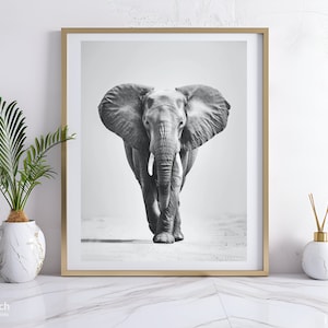 Foto de elefante africano en blanco y negro, fotos de elefantes, animales de safari, artes de pared, carteles grandes, impresión digital, descarga instantánea