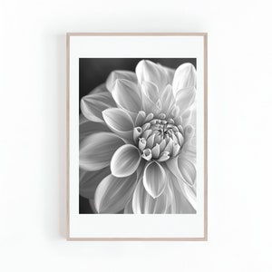 May include: Black and white framed print of a dahlia flower. The close-up image showcases the flower's intricate petals and center, with varying shades of gray creating depth and texture. The artwork is presented in a light-colored wooden frame.