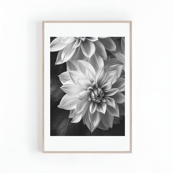 Dahlia Flower Macro Photo in Monochrome, Black and White Photography, Large Floral Art Prints, Instant Download Digital Print