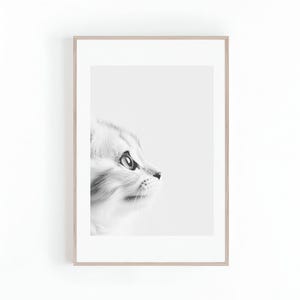 Cute Photo of Kitten Looking Up Black and White, Pet Photos, Cat Lover Gifts, Wall Art, Large Posters, Digital Print, Instant Download