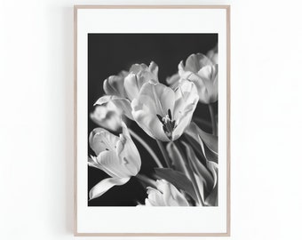 May include: A black and white photograph of a bouquet of white tulips with dark stems against a dark background.