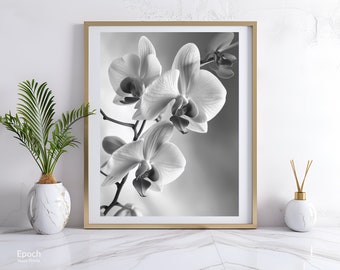 Black and White Photo Instant Digital Download Wall Art Print