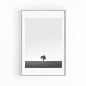 Fotografía en blanco y negro de un árbol, arte mural, carteles grandes, fotografías de árboles, fotografías panorámicas, impresión digital, descarga instantánea