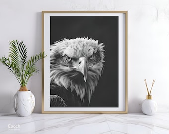 May include: Black and white photograph of a bald eagle with a sharp gaze. The eagle's head and neck are in focus, while the background is blurred. The image is framed in a gold-colored frame.