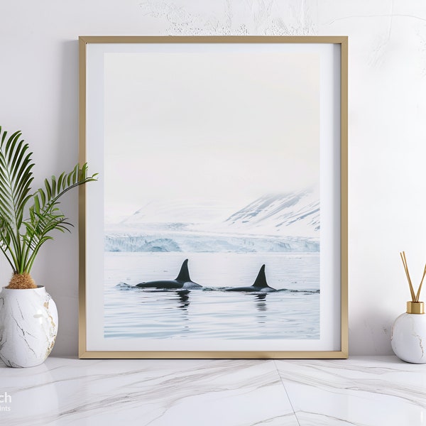 Black and White Photograph of Orca Whale, Orca Whale Photo, Marine Animals, Killer Whale, Ocean Photography, Digital Print, Instant Download