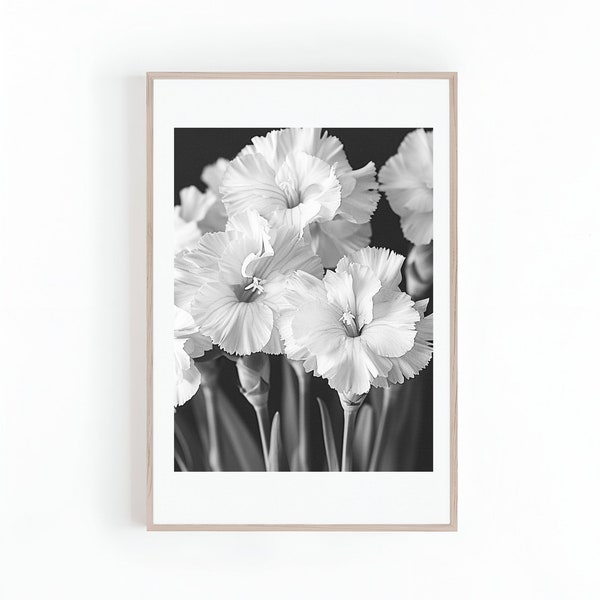 Carnation Flowers Photo in Monochrome, Black and White Photography, Large Floral Art Prints,   Instant Download Digital Print