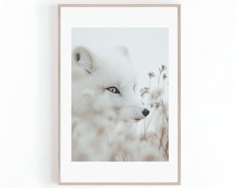 Beautiful Photo of White Arctic Fox, Wild Fox Photo High Definition, Wildlife Photography Print, Animal Photo, Instant Digital Download