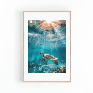 Fotografía bajo el agua de tortugas nadando en un arrecife de coral cerca de Hawái, animales acuáticos, artes de pared, carteles grandes, impresión digital, descarga instantánea