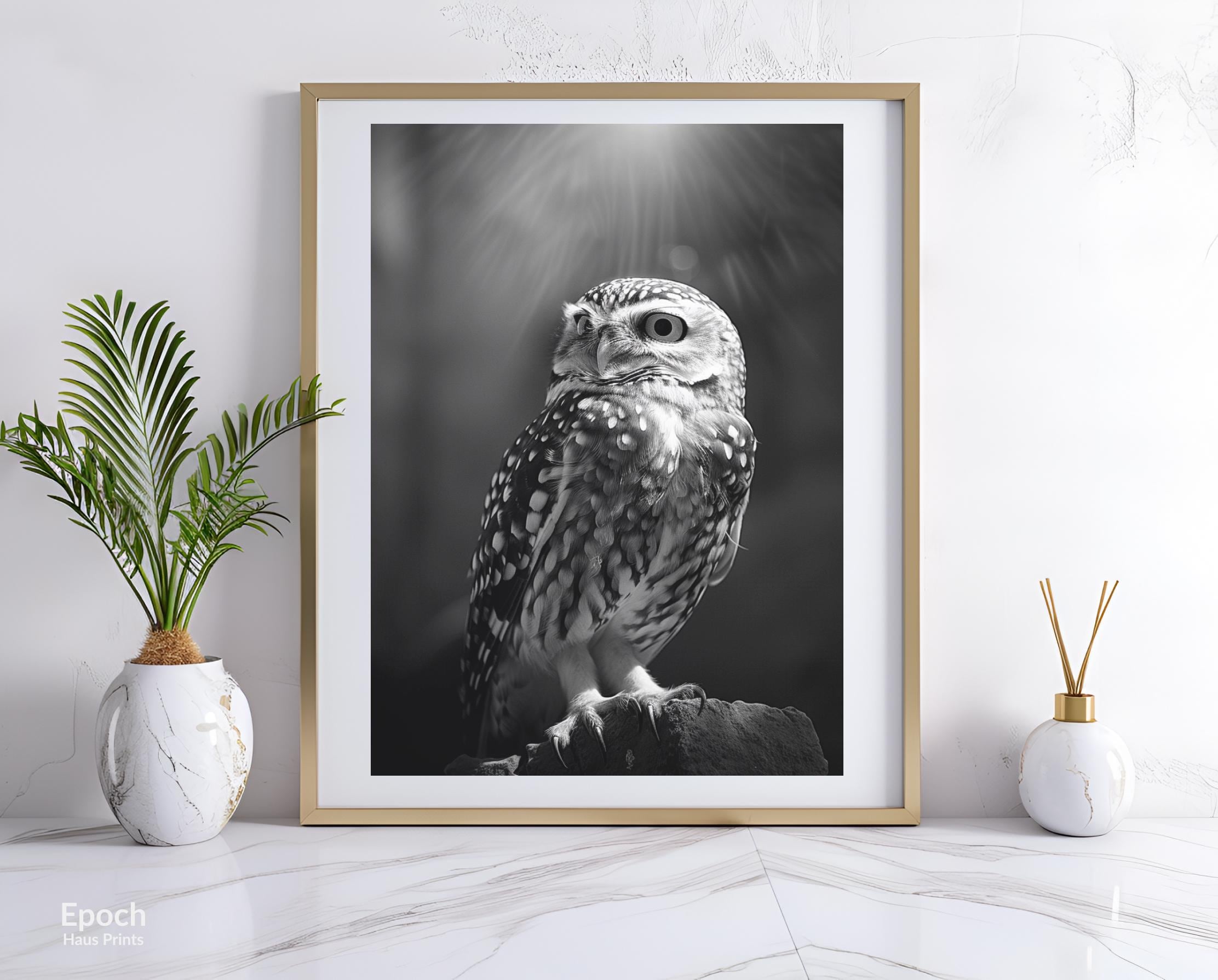 Black and White Photo an Owl in a Tree, Cute Animal Photos, Wall Art ...
