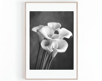 May include: A black and white photograph of a bouquet of white calla lilies.