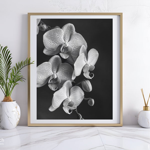 Orchid Flowers Photo in Black & White, Orchid Photo for Print, Floral Wall Art, Bouquet of Orchids, Large Digital Print, Instant Download