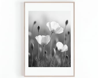 California Poppy Flowers Photo | Black and White | Floral Wall Art | Poppies Lily | Digital Print for Instant Download | Large Print