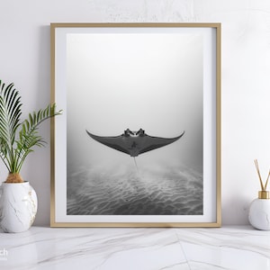 Op de afbeelding: Zwart-witfoto van een mantarog die in de oceaan zwemt. De rog kijkt naar de camera en zijn vleugels zijn uitgespreid. De foto is onder water genomen en het zand is zichtbaar op de achtergrond.