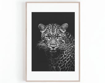 カメラを見つめるヒョウの写真、白黒、ヒョウ柄、ジャングルの動物