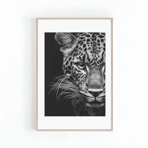 Peut inclure: Une photographie en noir et blanc en gros plan du visage d'un l&eacute;opard. La fourrure du l&eacute;opard est tachet&eacute;e et ses yeux sont intenses.