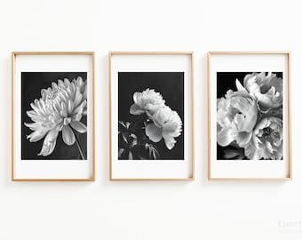 May include: Three black and white framed photographs of flowers. The first photo shows a single white chrysanthemum. The second photo shows a bouquet of white peonies. The third photo shows a bouquet of white peonies.