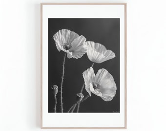 California Poppy Flowers Photo | Macro Photo | Black and White | Floral Wall Art | Poppies | Digital Print Instant Download | Large Print