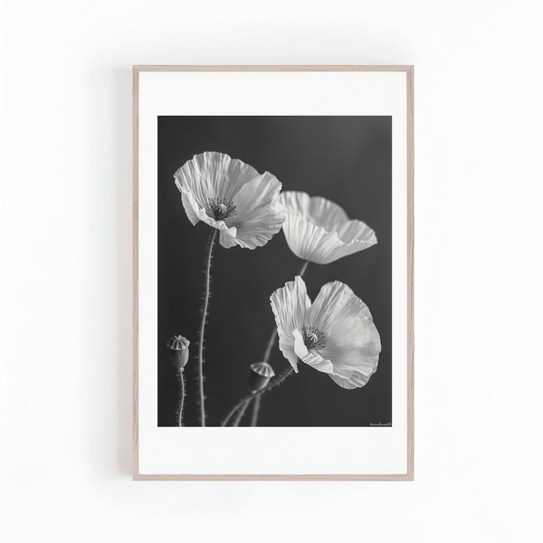 California Poppy Flowers Photo | Macro Photo | Black and White | Floral Wall Art | Poppies | Digital Print Instant Download | Large Print