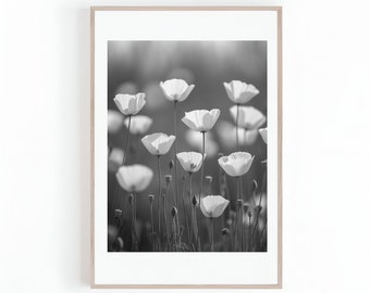 California Poppy Flowers Photo | Black and White | Floral Wall Art | Poppy Flower Print | Digital Print for Instant Download | Large Print