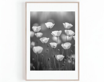 May include: A black and white photograph of a field of white poppies in bloom. The flowers are in focus, while the background is blurred.