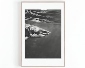 Foto de tiburón en blanco y negro, fotos de tiburones, animales acuáticos, arte mural, pósteres grandes, tiburones, impresión digital, descarga instantánea