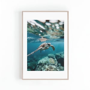 May include: A green sea turtle swims through clear blue water with coral reefs in the background.