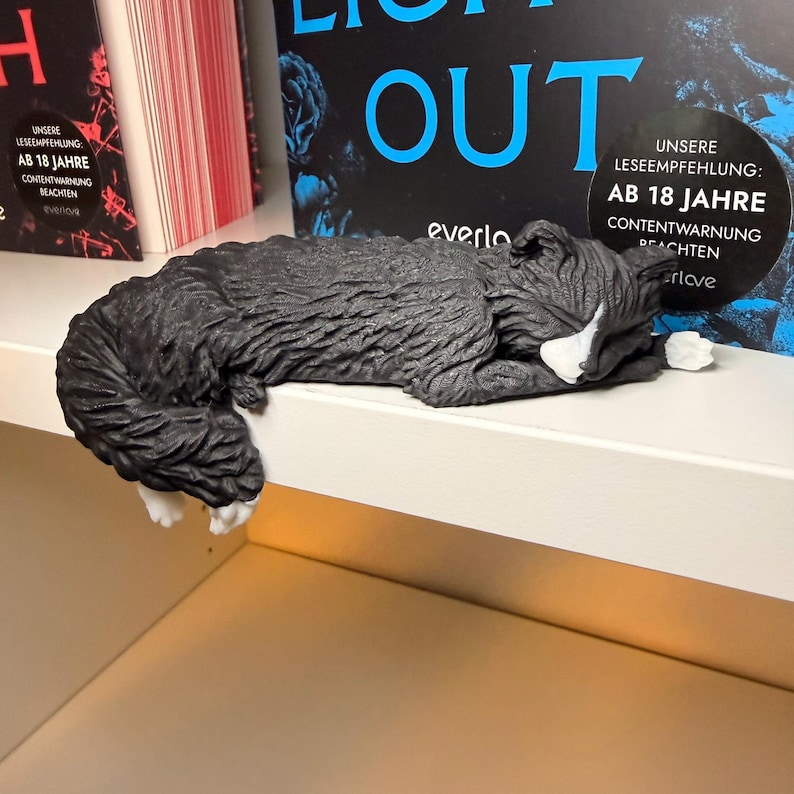 Lights Out Katze liegt über Regalkante vor Büchern