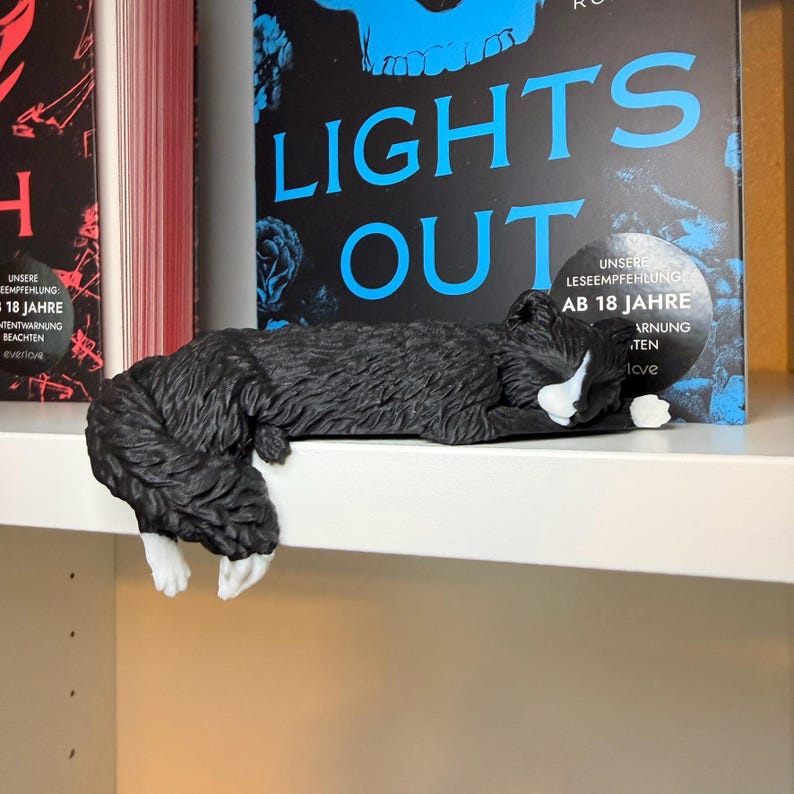 Lights Out Katze liegt über Regalkante vor Büchern