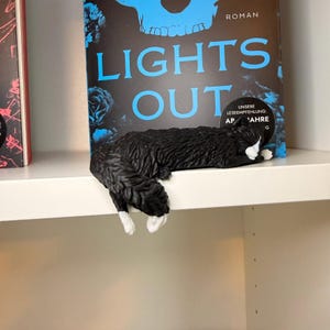 Lights Out Katze liegt über Regalkante vor Büchern