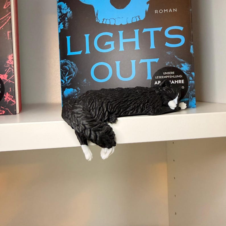 Lights Out Katze liegt über Regalkante vor Büchern