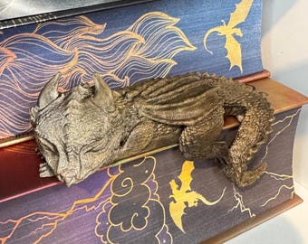 Bokhylla med sovande drakeunge – Fantasydekor för spelälskare och drakfans – Hylldekoration Fourth Wing Iron Flame Onyx Storm BookTok Bookish