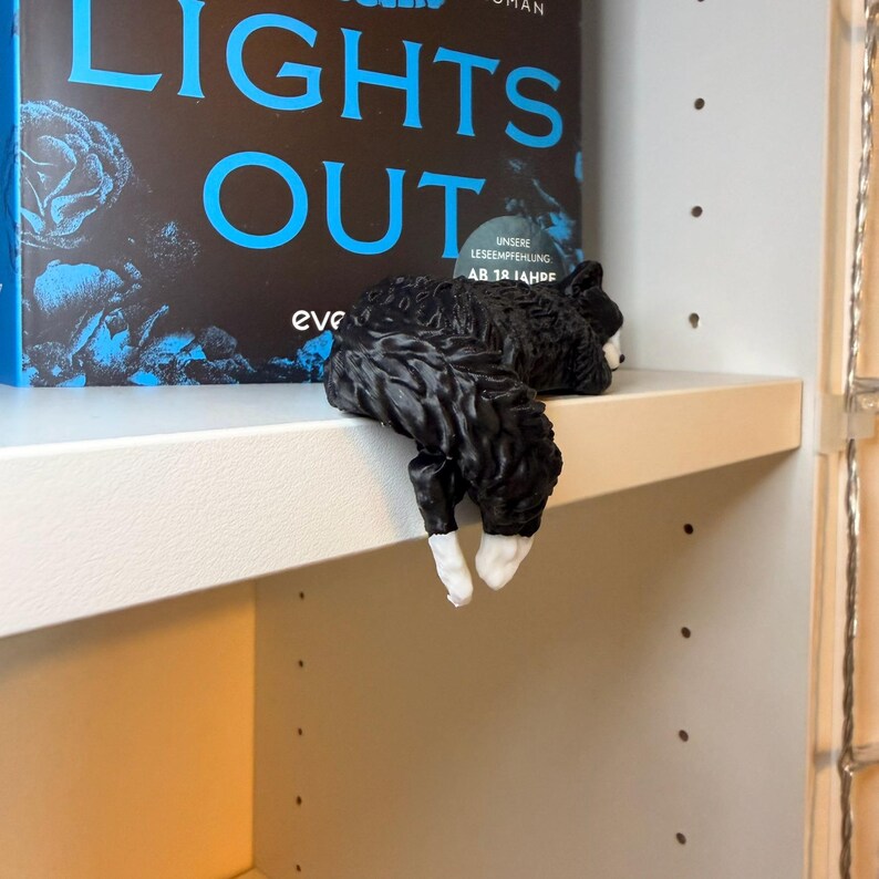 Lights Out Katze liegt über Regalkante vor Büchern