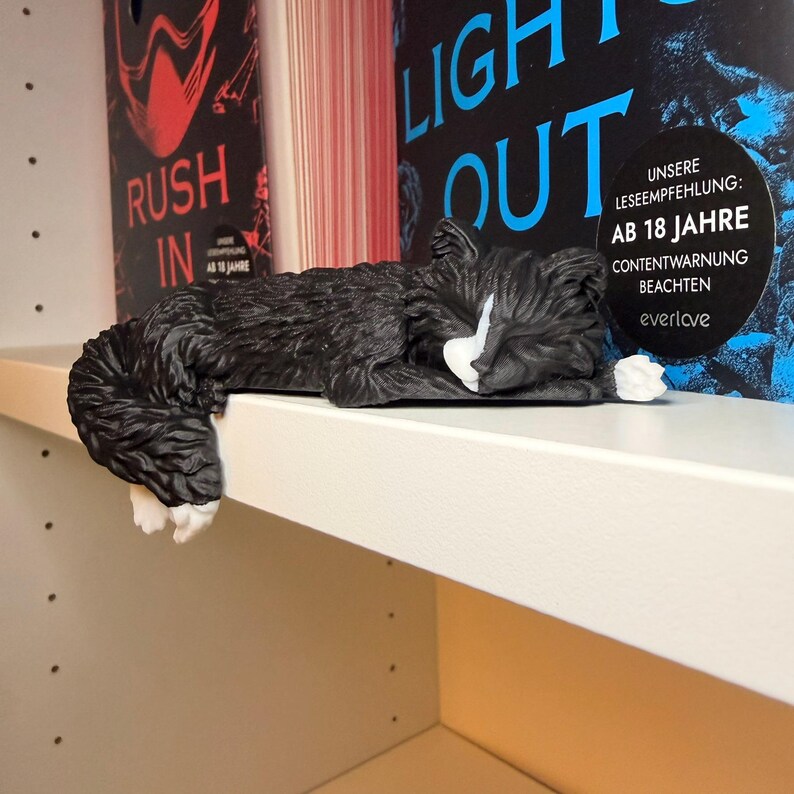 Lights Out Katze liegt über Regalkante vor Büchern