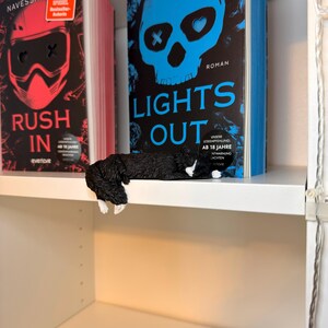 Lights Out Katze liegt über Regalkante vor Büchern