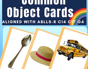 Common Object Photo Picture Cards for Speech Therapy ABA Autism ABLLS-R C14 C17 & G4