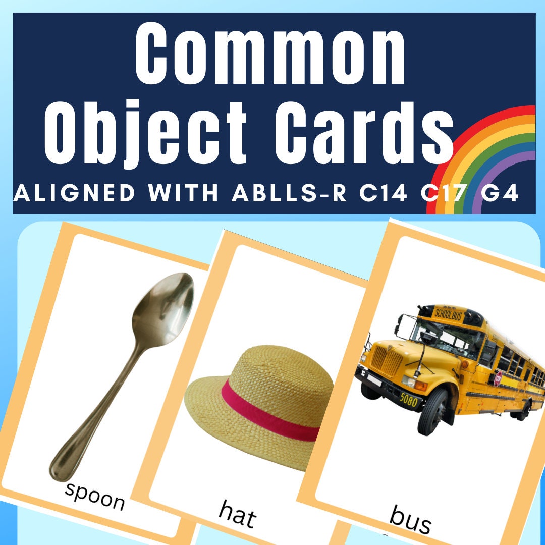 Common Object Picture Cards for Speech Therapy ABA Autism ABLLS-R C14 ...