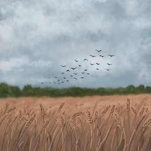 Golden Fields of Grain