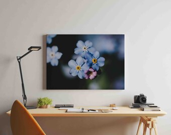 Puede incluir: Un primer plano de un grupo de flores azules de nomeolvides con una sola flor rosa en el centro. Las flores están enfocadas, mientras que el fondo está desenfocado.
